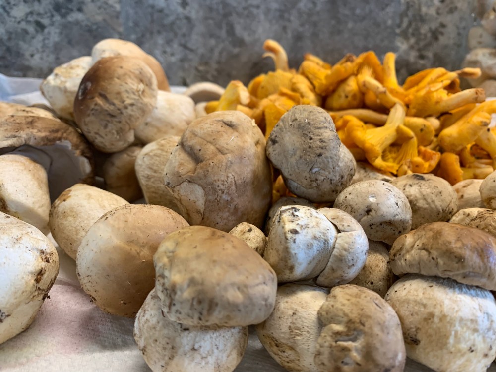 96DEEC14-649E-4737-951D-DBE5F6E10C90